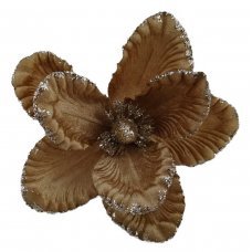 Χριστουγεννιάτικο Λουλούδι Μανώλια Καραμελέ (25cm)